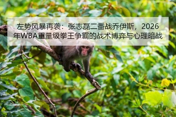 左势风暴再袭：张志磊二番战乔伊斯，2026年WBA重量级拳王争霸的战术博弈与心理暗战